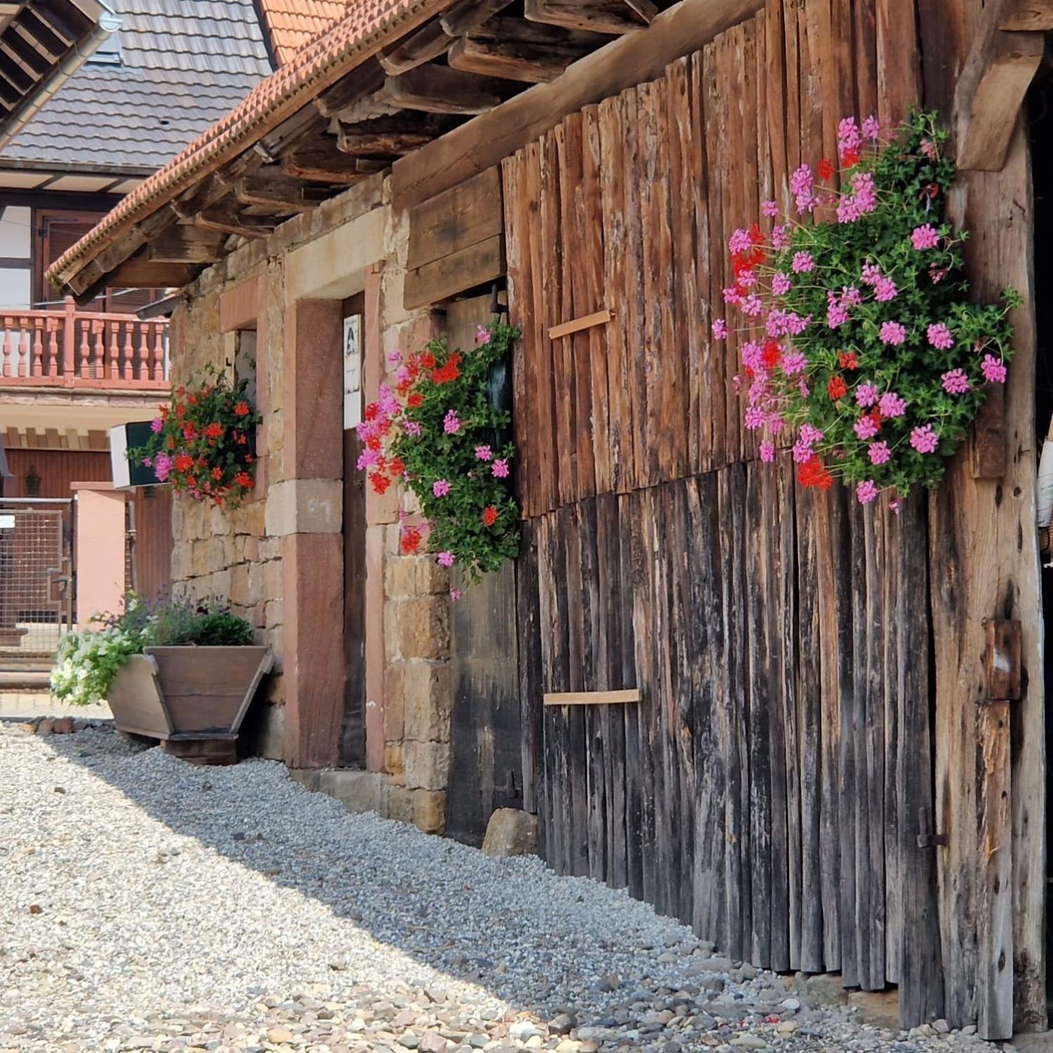 Chambres D'Hotes Chez Linda Stephane Le Passe Compose Preuschdorf Exterior photo